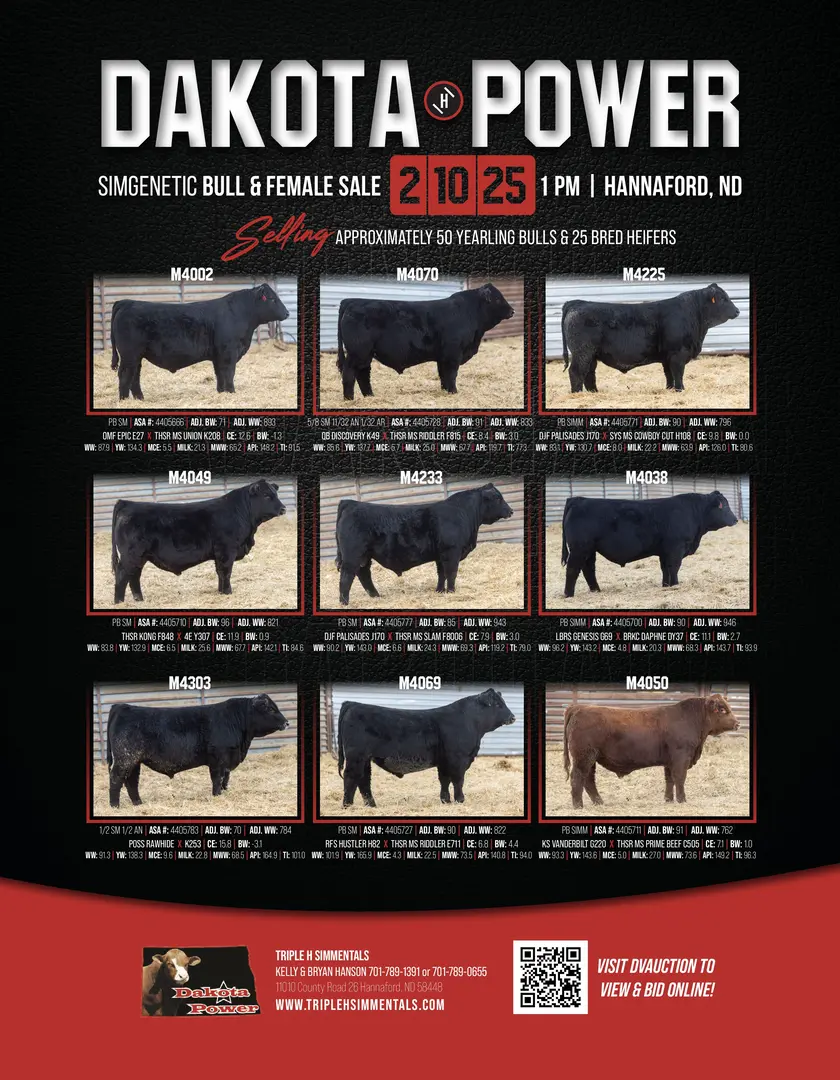 dakota power simgenetics bull sale flyer
